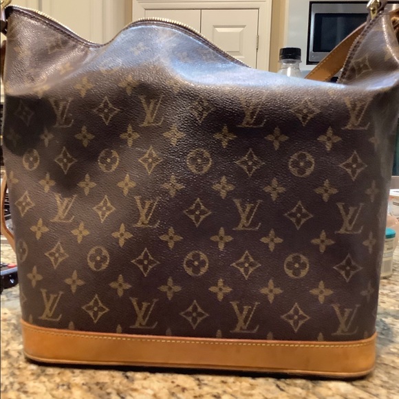 Gorgeous Sharon Stone Louis Vuitton hobo style! - Picture 10 of 10